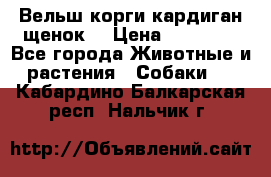 Вельш корги кардиган щенок  › Цена ­ 35 000 - Все города Животные и растения » Собаки   . Кабардино-Балкарская респ.,Нальчик г.